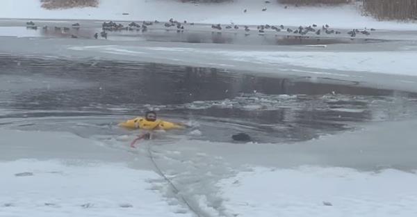 Logan enters the water to rescue Bob.