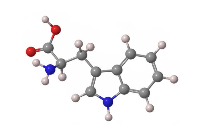 50-facts-a<em></em>bout-tryptophan